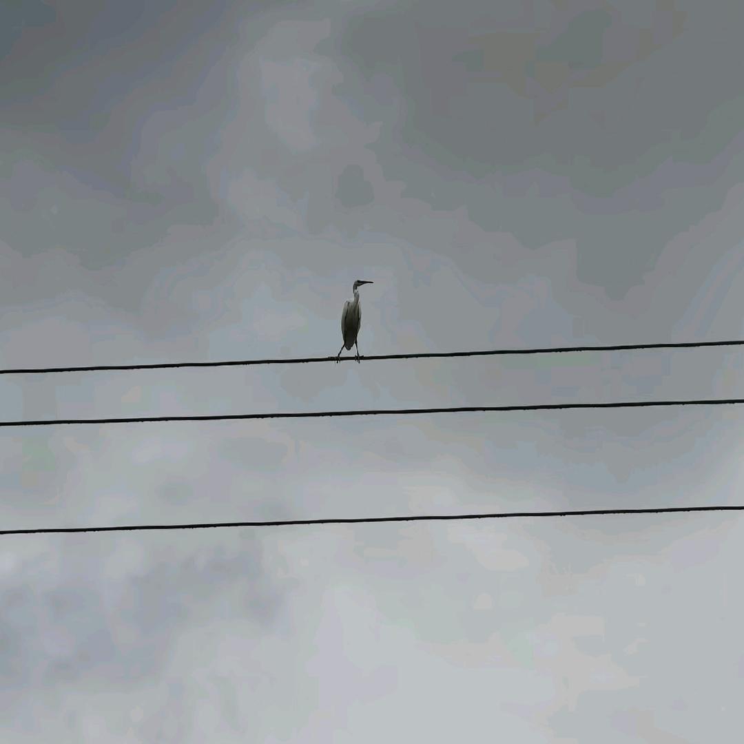 慎独   。