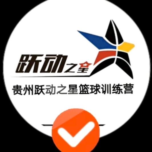 跃动之星兰馨苑篮球公园