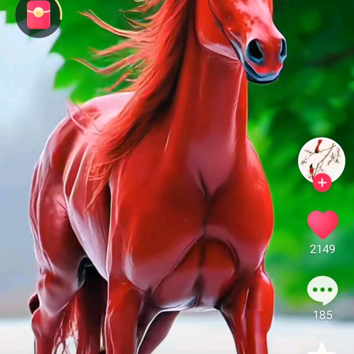 会泽小林哥！！！