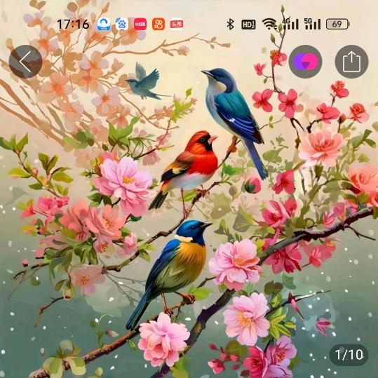 此生不变🎉