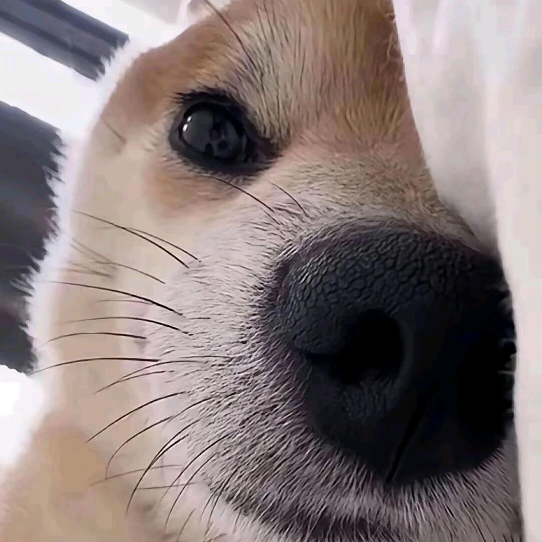 小小