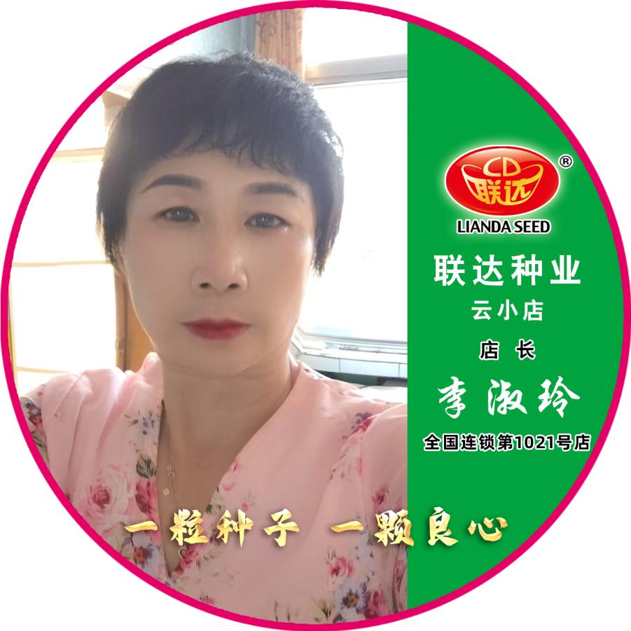 联达吉林云小店-李淑玲