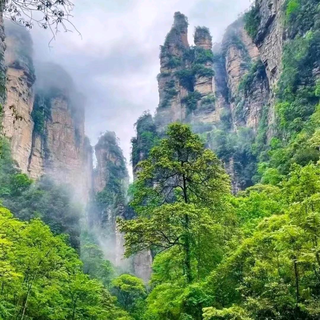 祁祁爱七