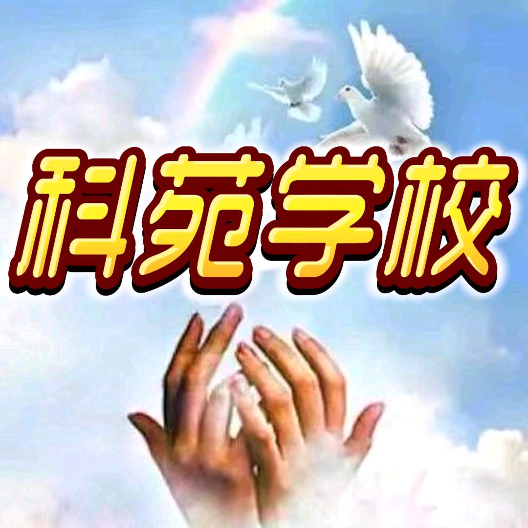 风信子💖♥️🇨🇳