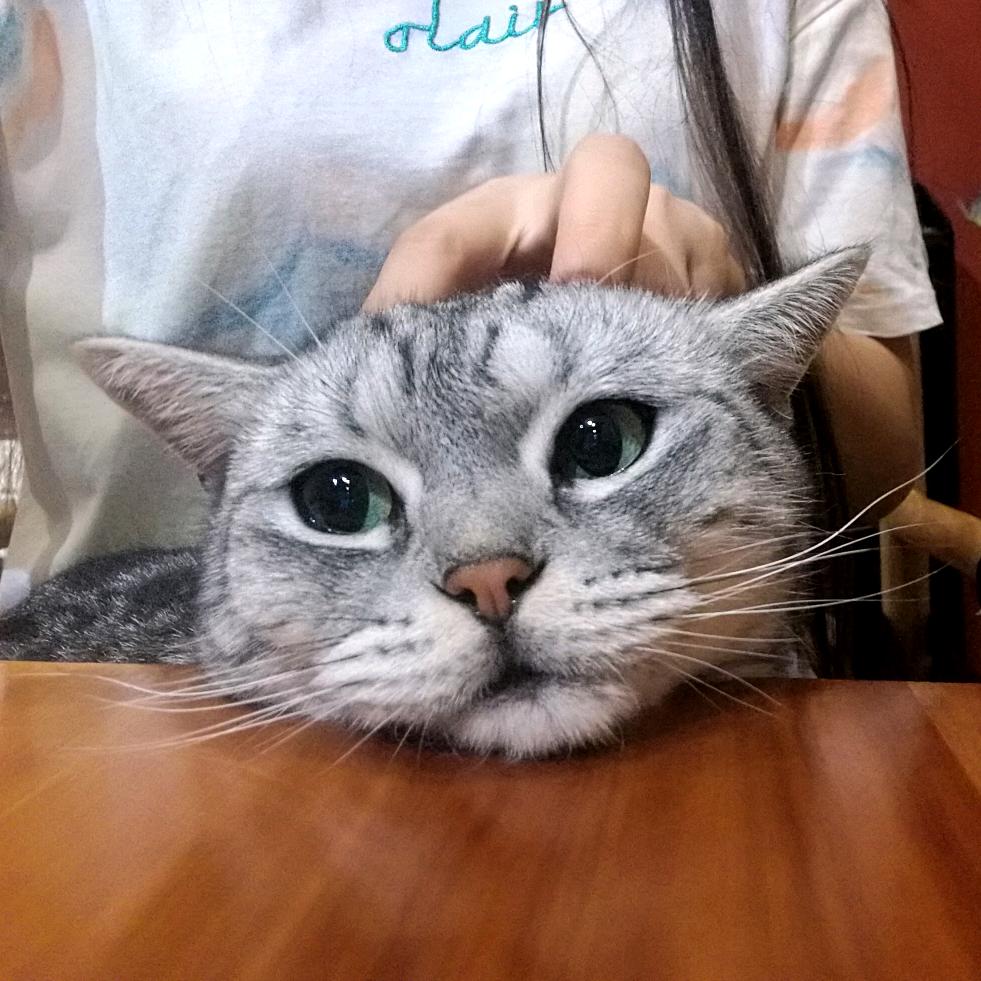 福多多不想上班