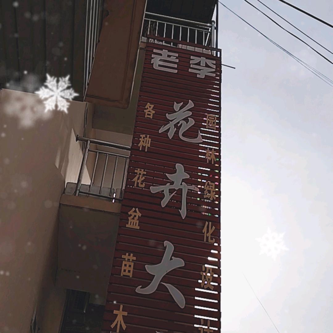 平陆花卉绿植老李花卉大全向阳街土桥二区行