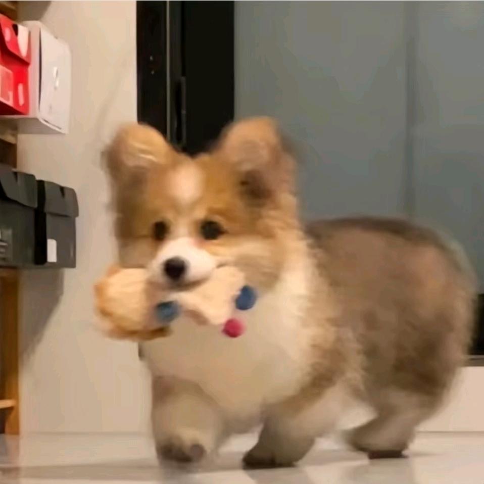 啦啦啦头像