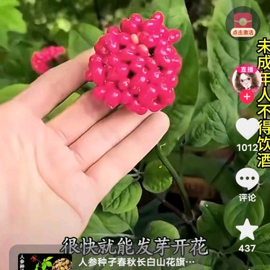 秀才遇着兵