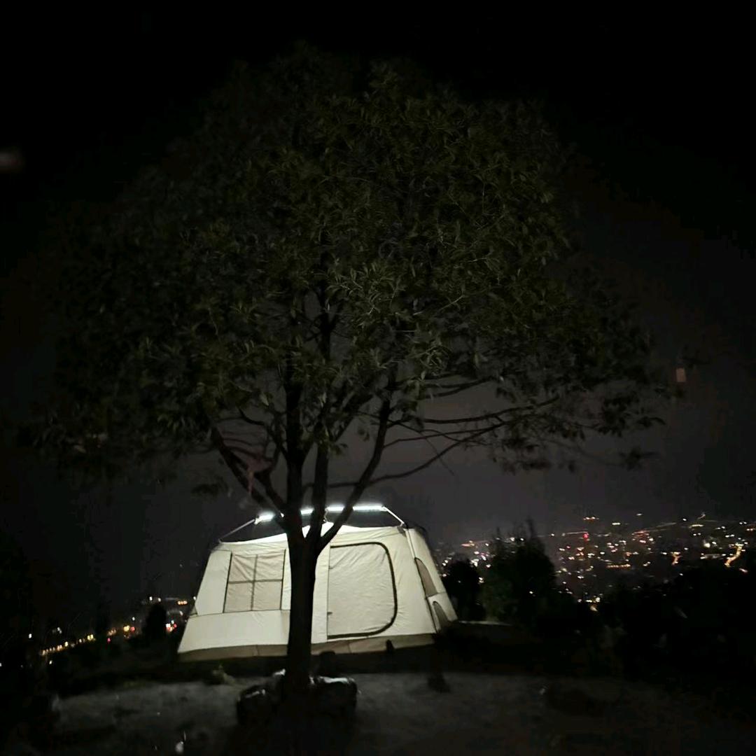 宇哥哥鄂Q在上海