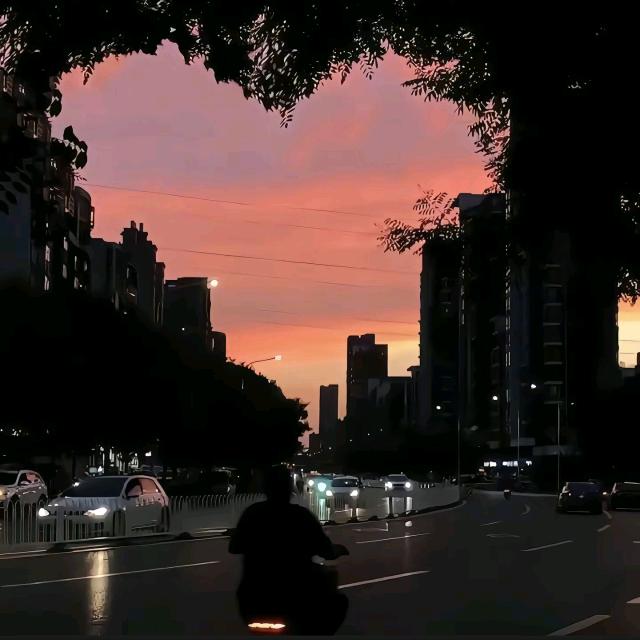 摆烂发财💰