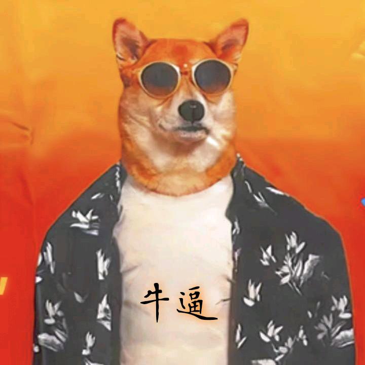 我叫 MT     　　　　　　　　　╲