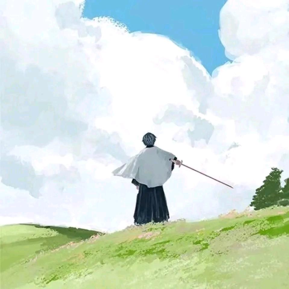 凤梨