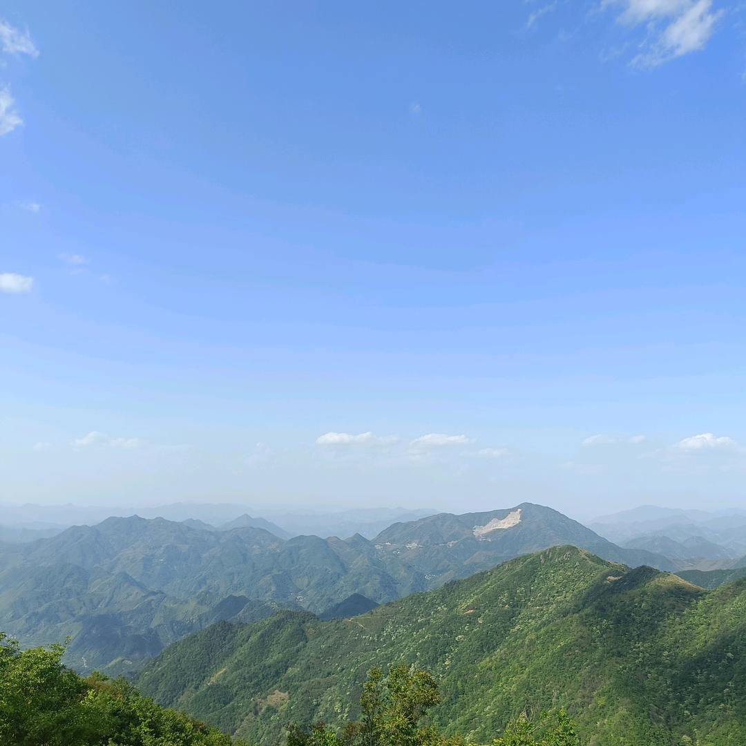 霸王