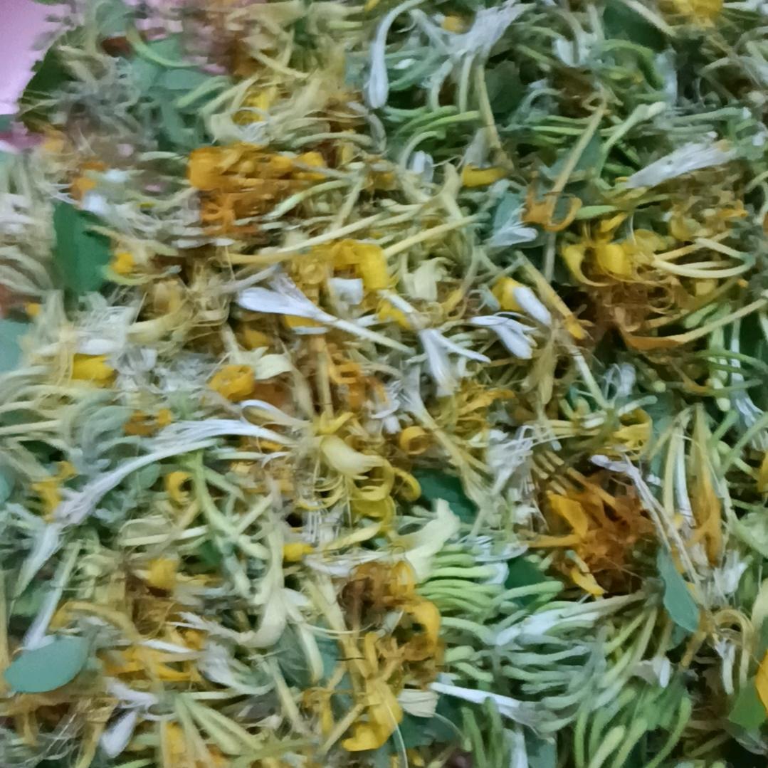 彬彬有礼