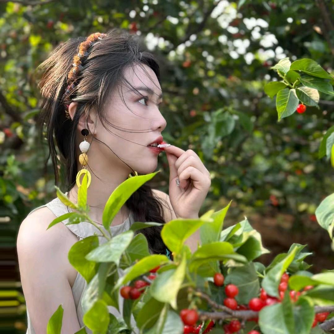 向僵尸开炮-剡心