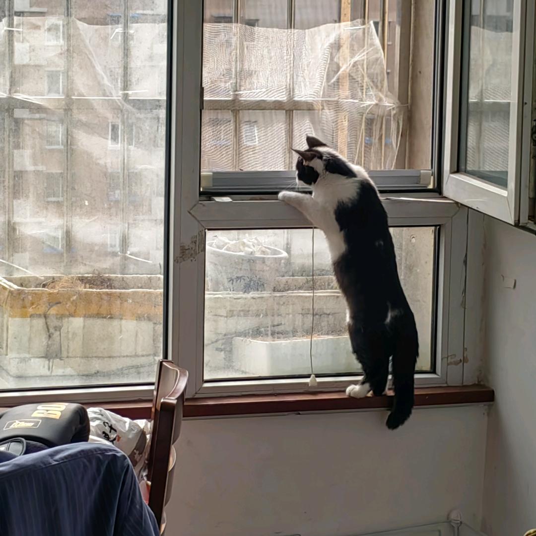 水木清弦钢琴电子琴课堂