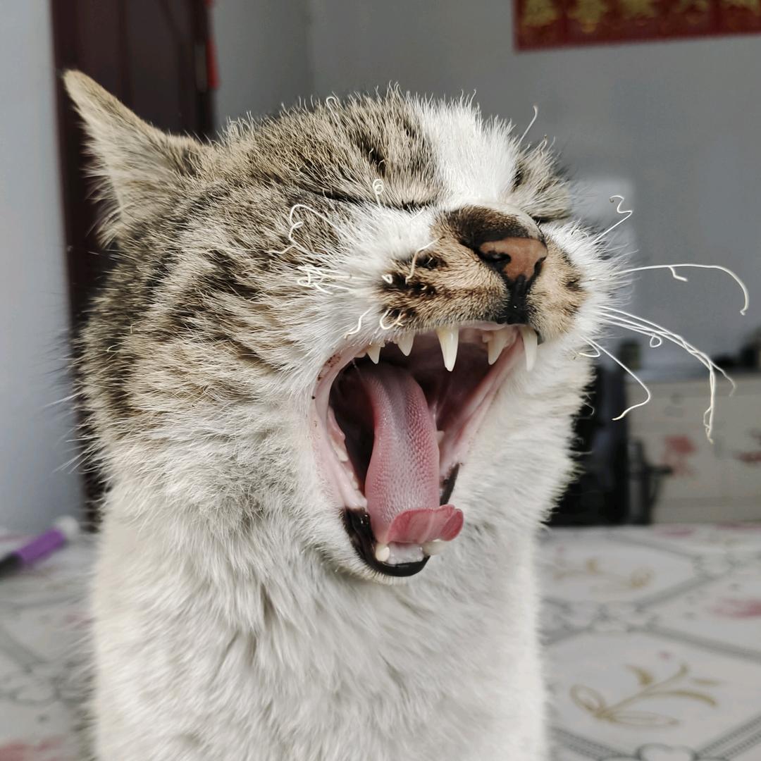 豆干
