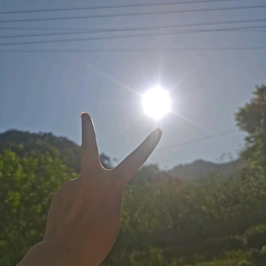 三分糖🍒去冰