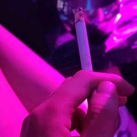 感觉至上-