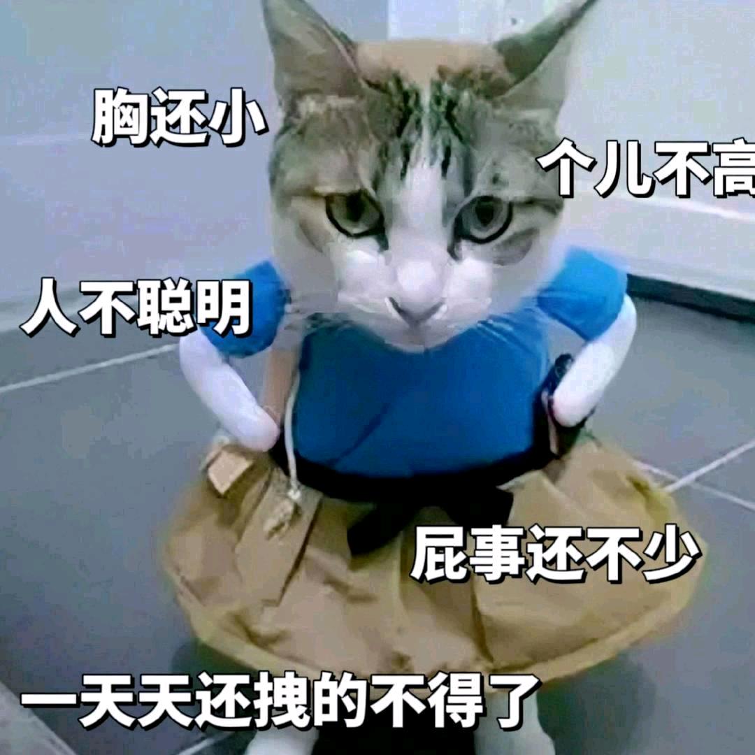 小白～