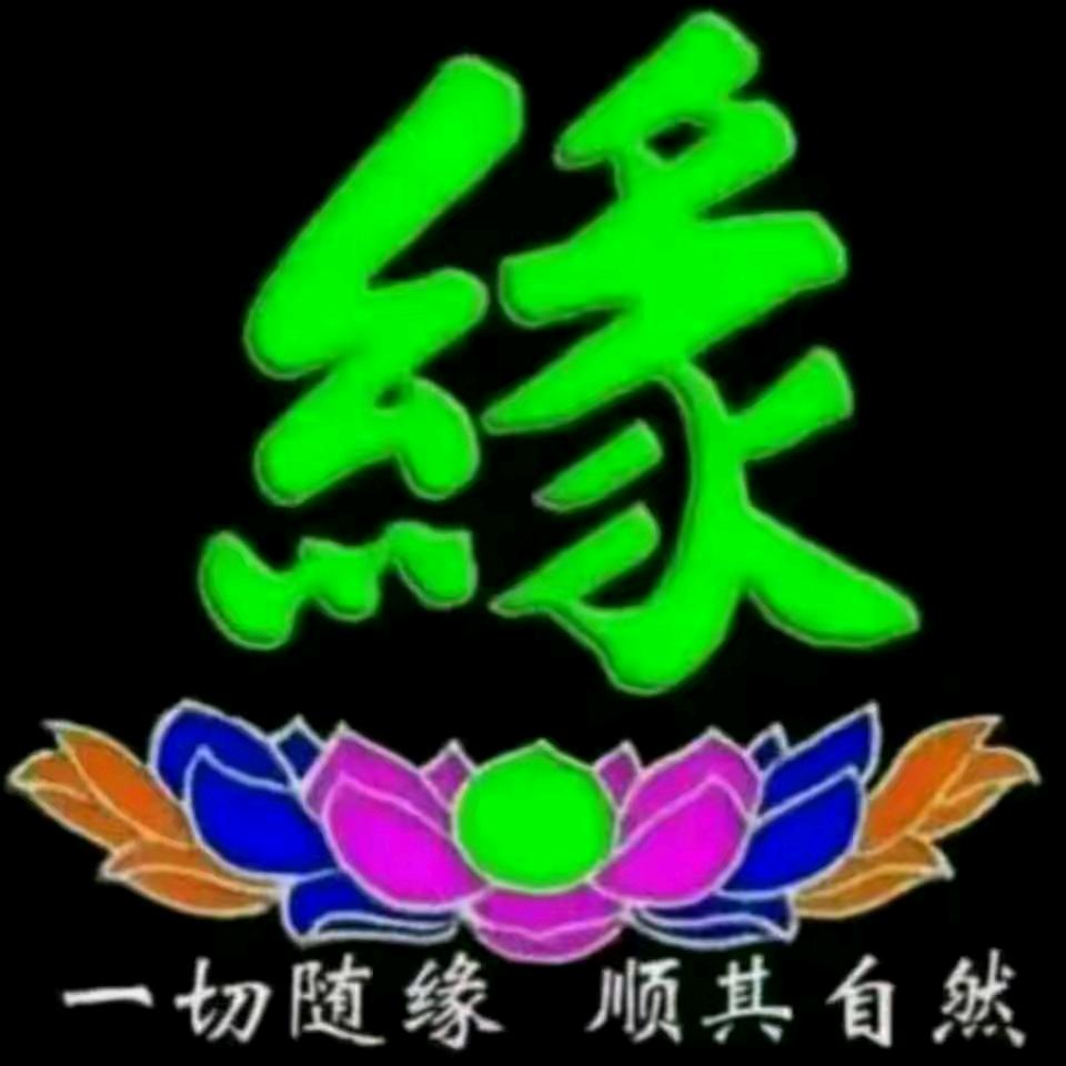 爱的世界只有你