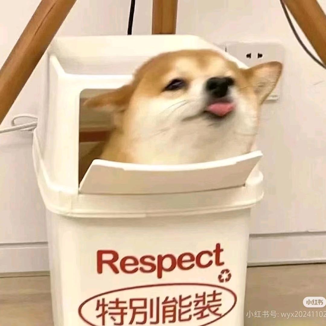 灌木丛里面的玫瑰