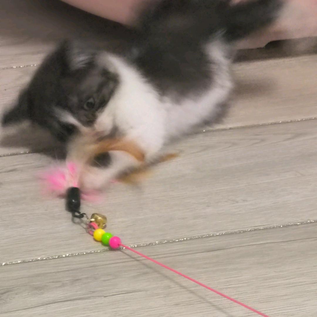 我的名字叫大喜