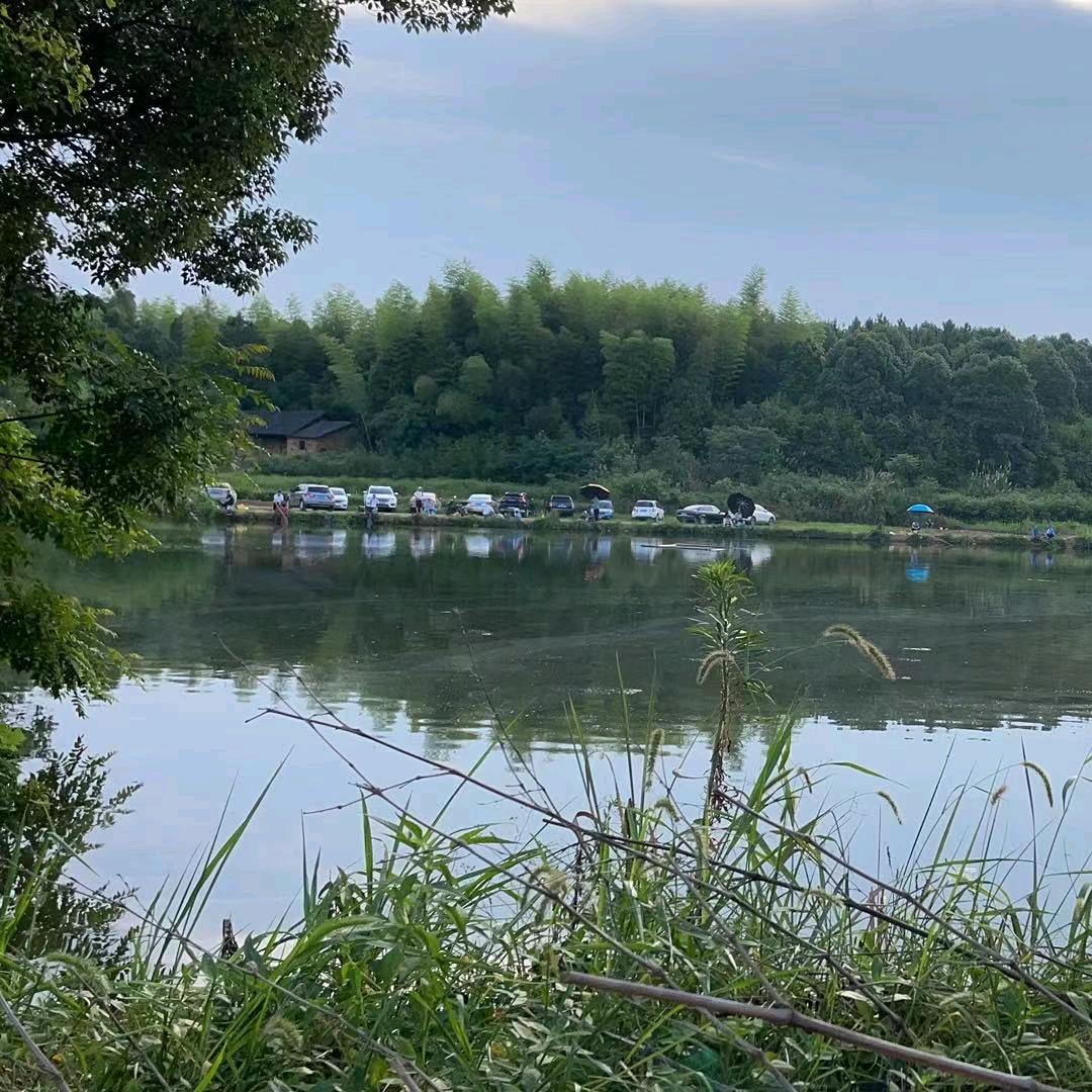 道林黄尾垂钓园备用号