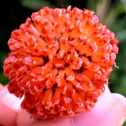 ღ᭄万李 💞挑一