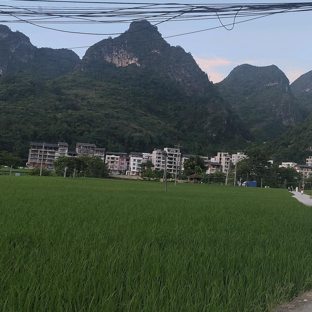 东鑫地产杨洋一二手房销售