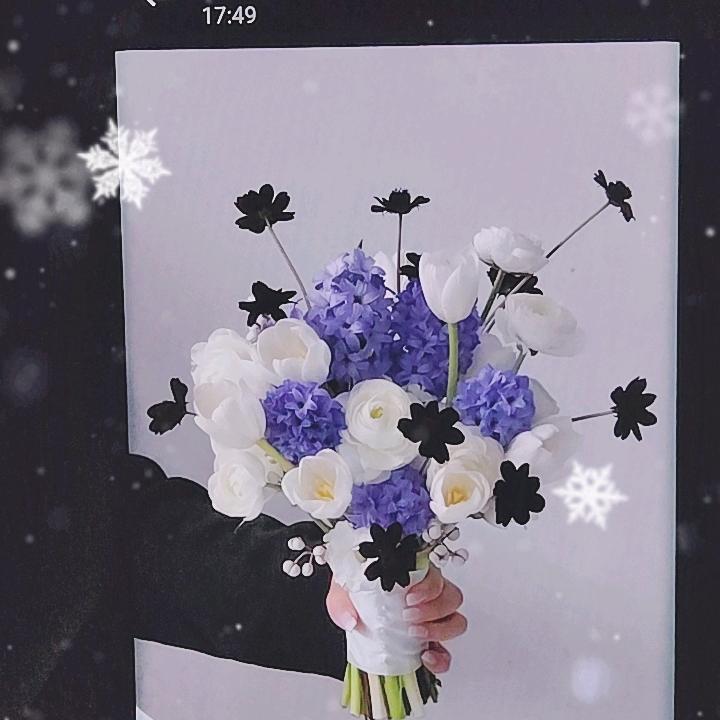 莹莹