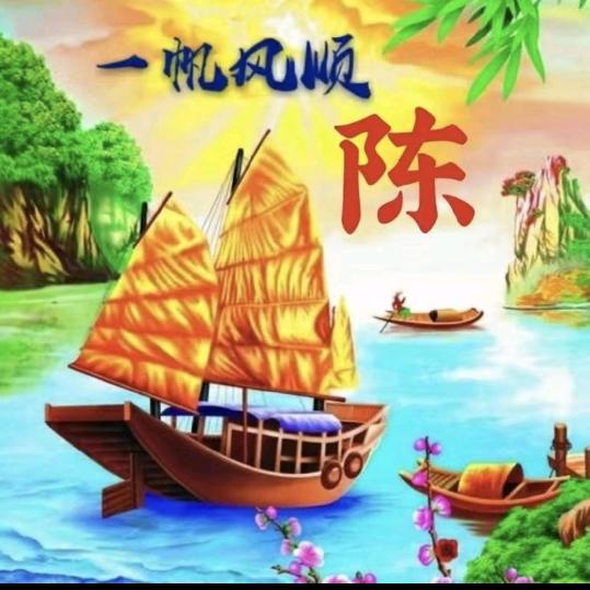 固化小青年