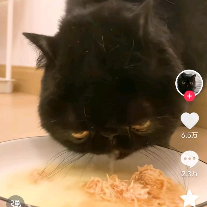 小小笑