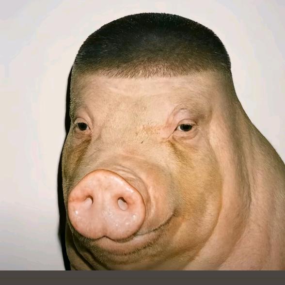 小十二丶