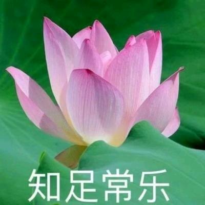《迟来的爱》