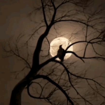 习惯有你₍˄·͈༝·͈˄*₎◞ ̑̑