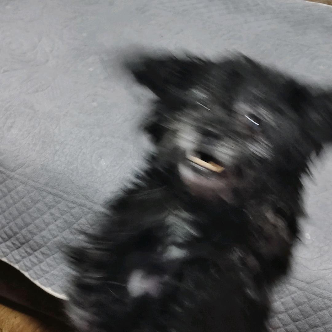超级香香.