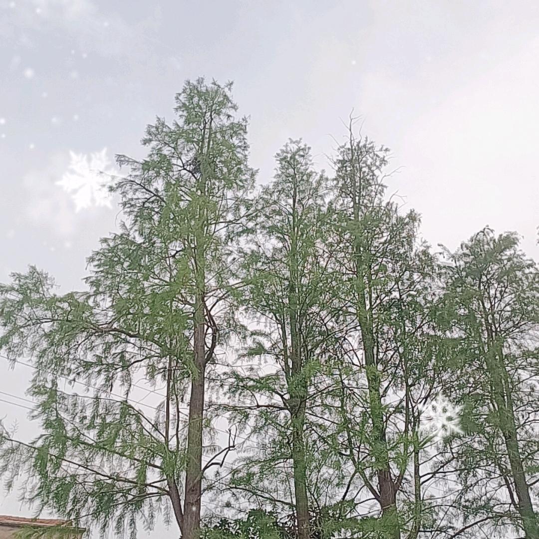 祥瑞不锈钢门厂