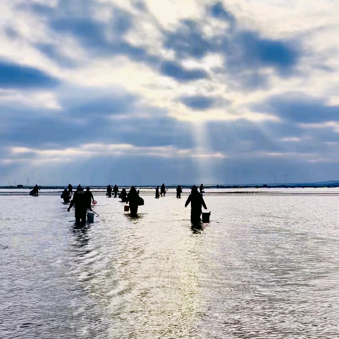 贺贺在海边🏝️
