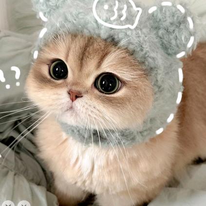 咸鱼就酱🐑