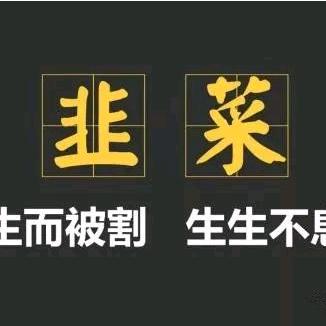 小金牛
