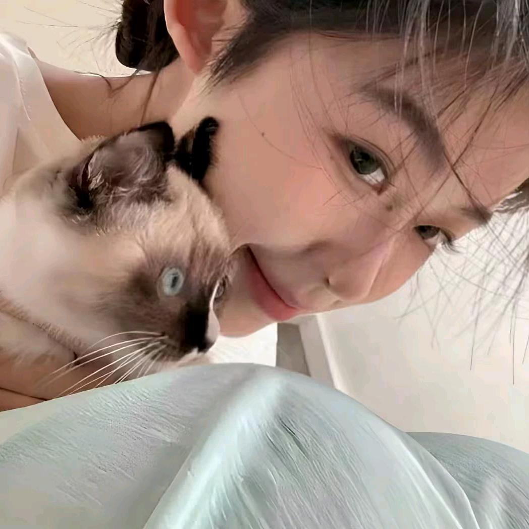 养只猫