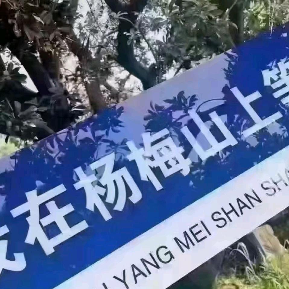 炸鸡排