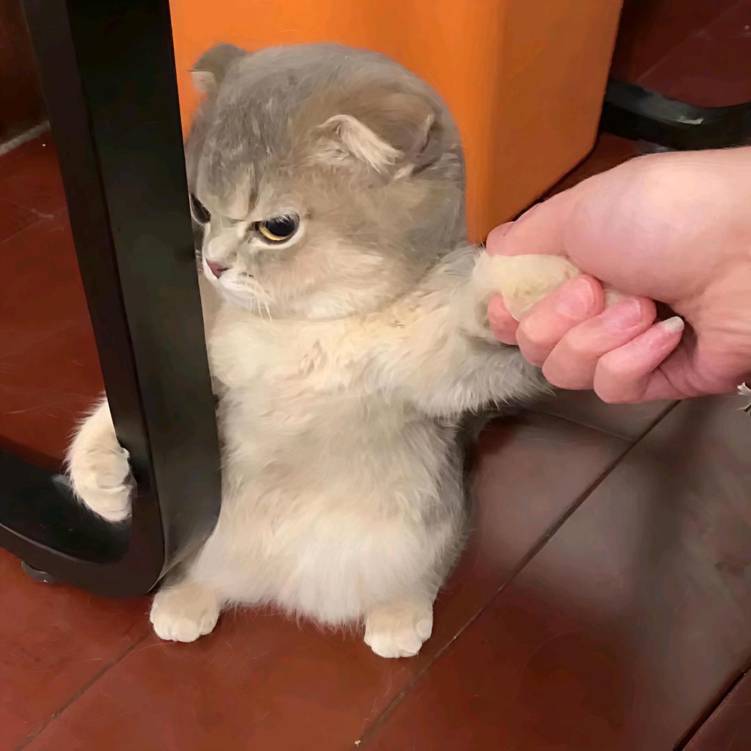 欭惗
