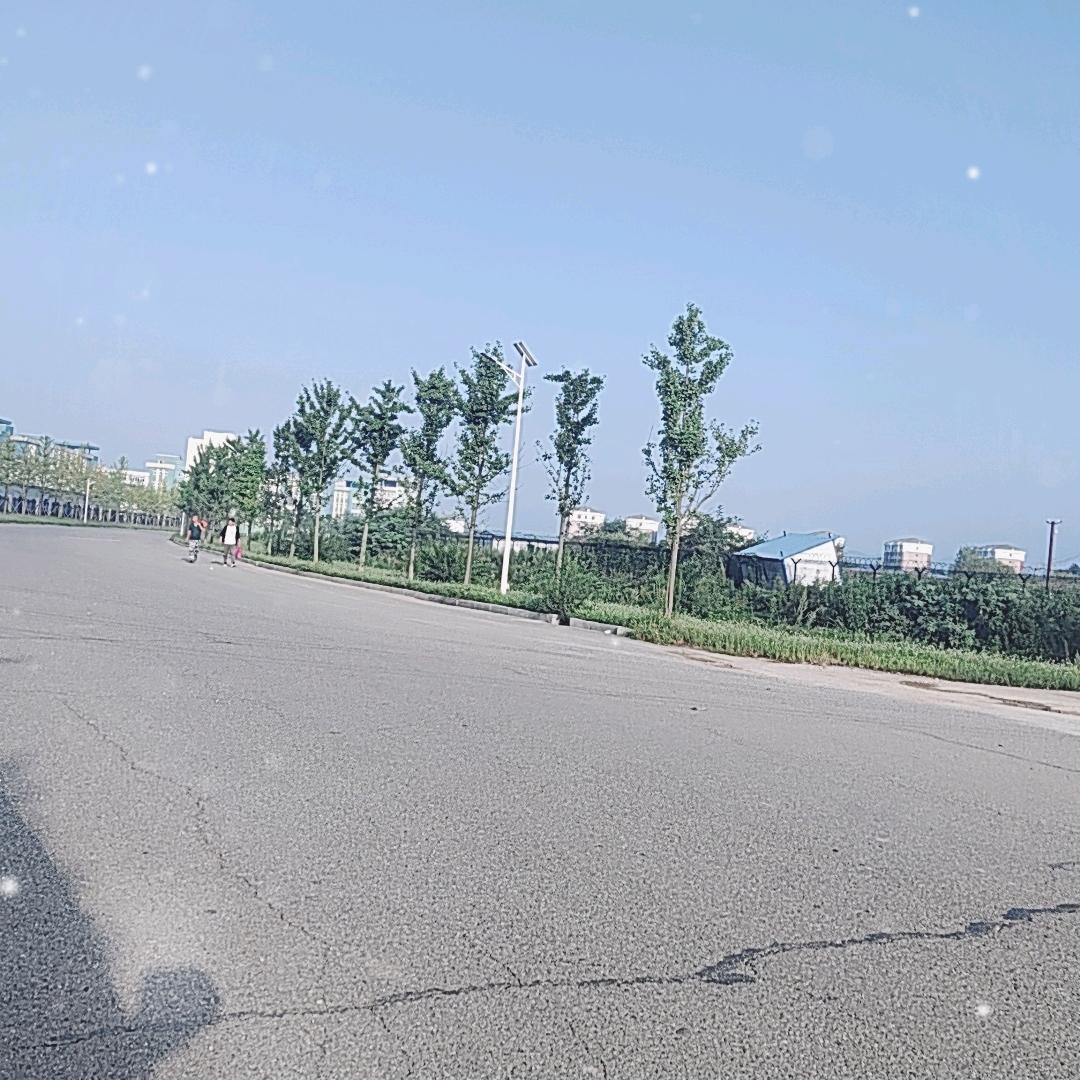 .冰城尔滨