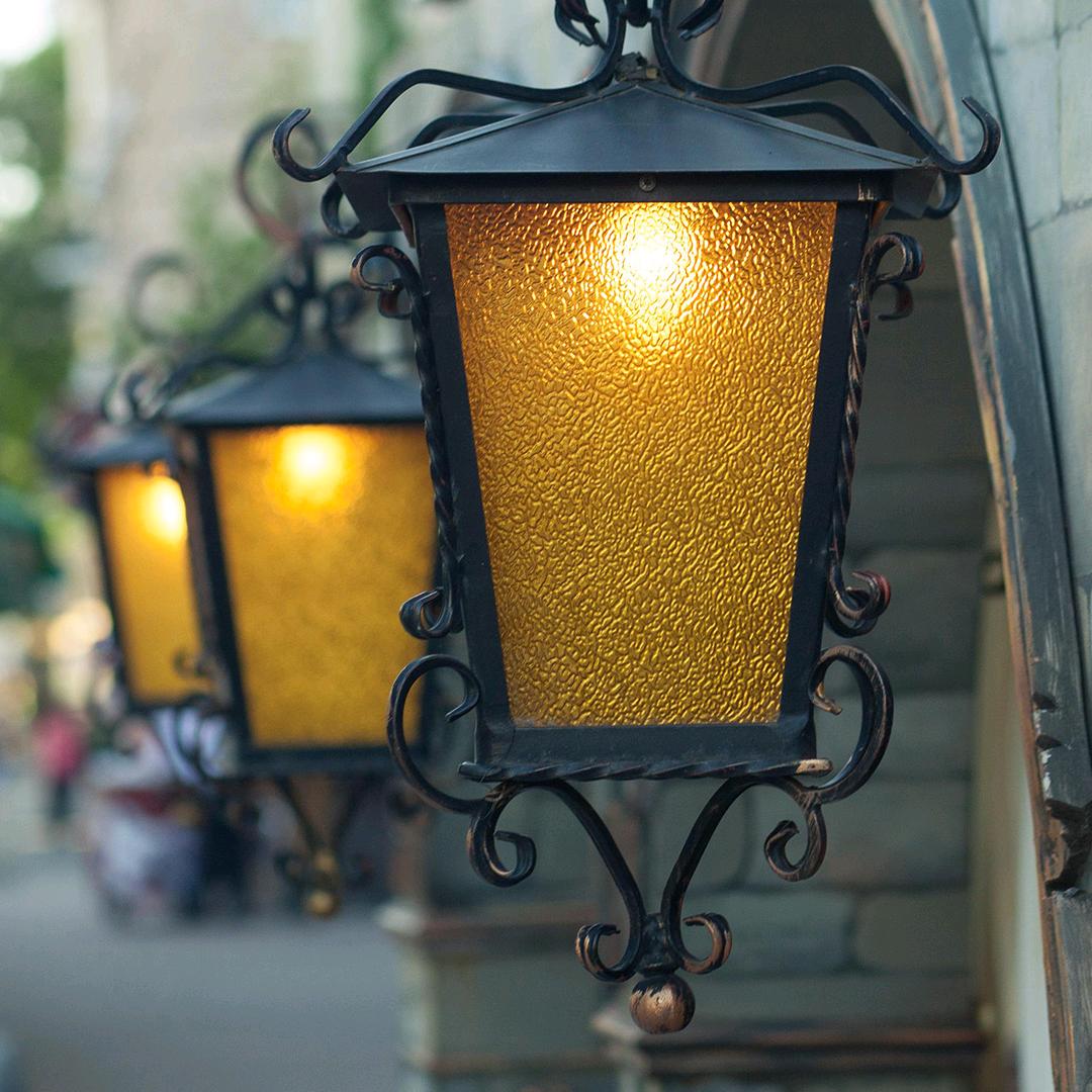 (^.^)(｡･ω･｡)(^.^)