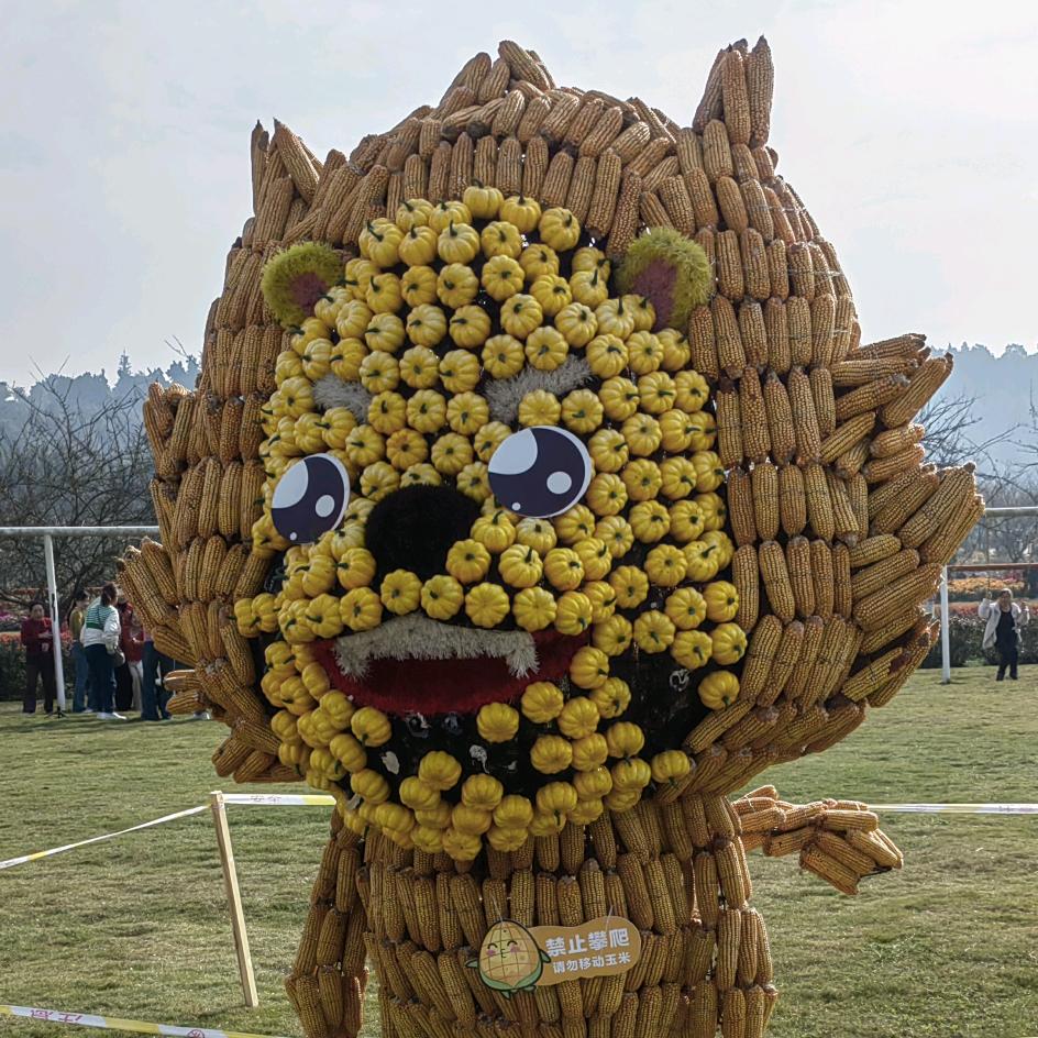 兔巴