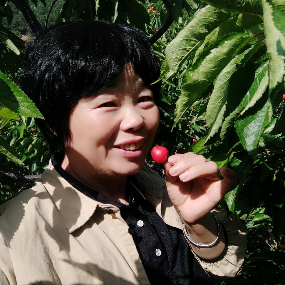 郸城刘姐
