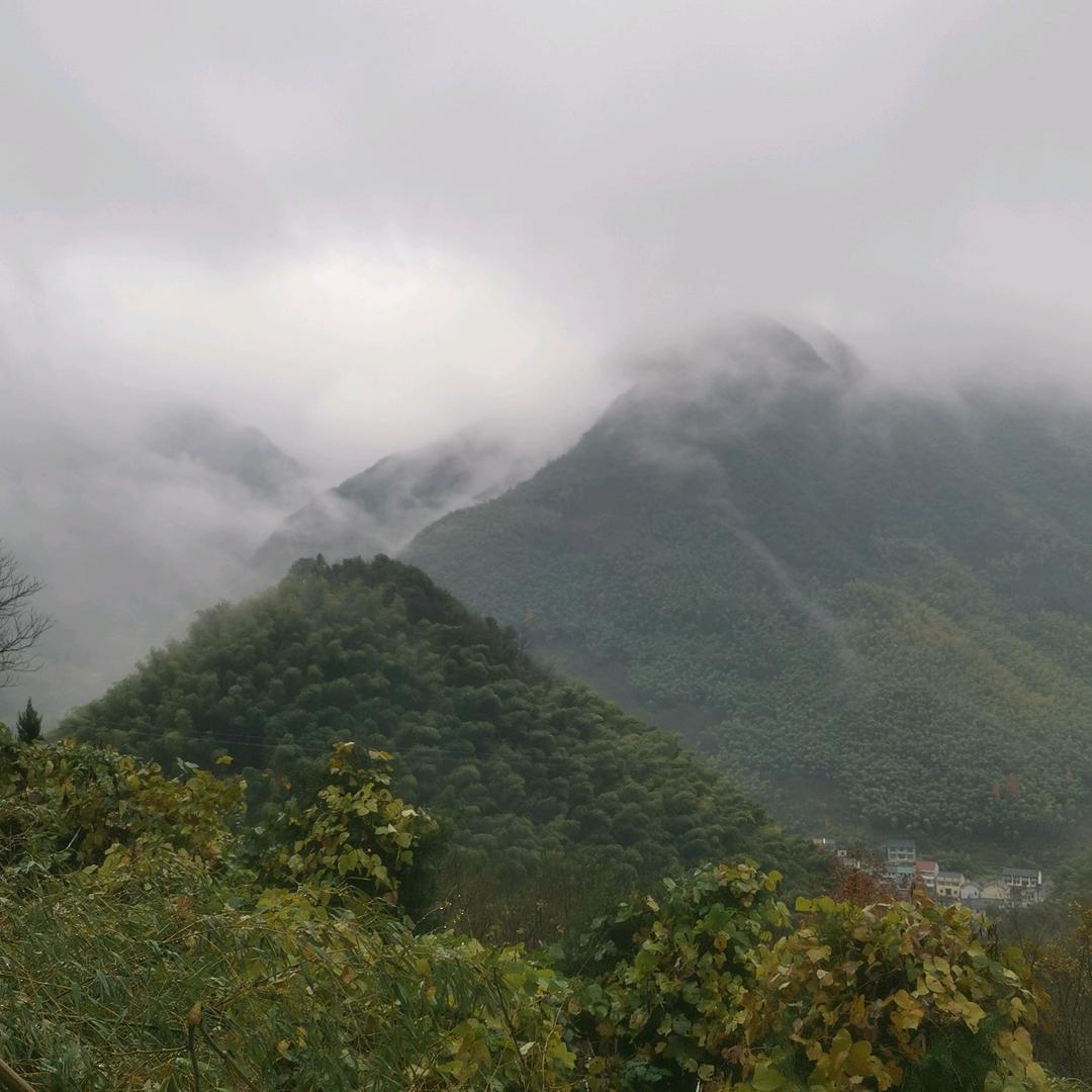 老丁