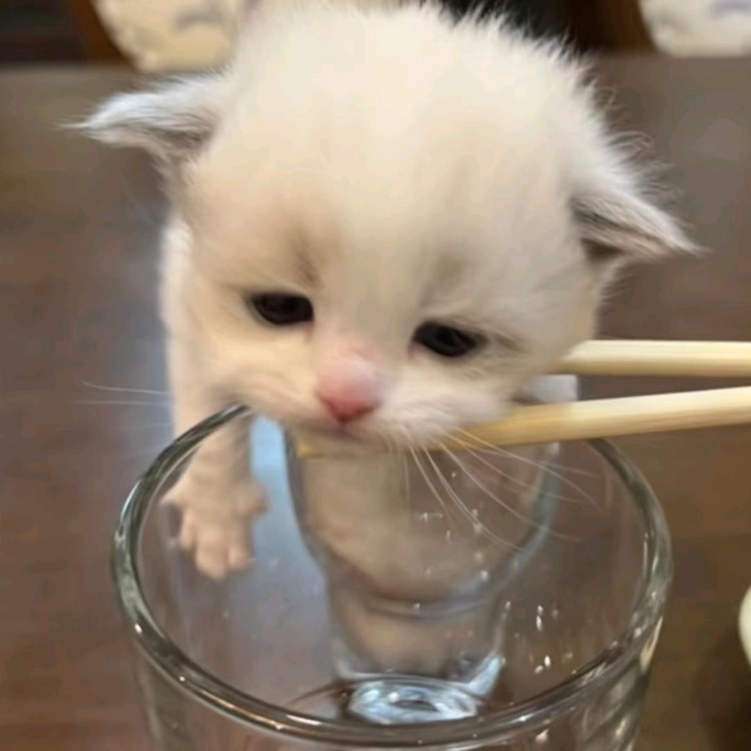 请叫我小另 ᳐ ᳐੭